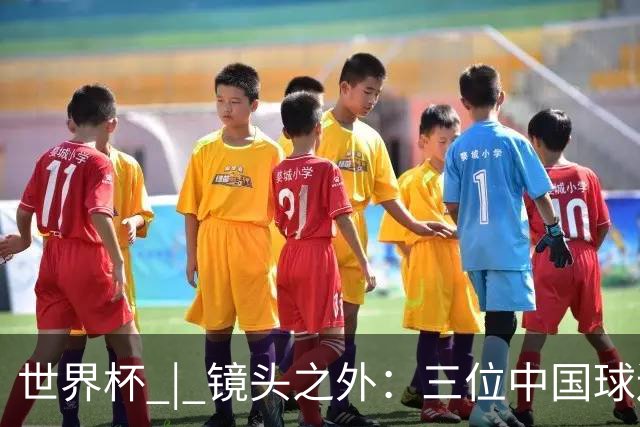 世界杯 | 镜头之外：三位中国球迷的绿茵热望